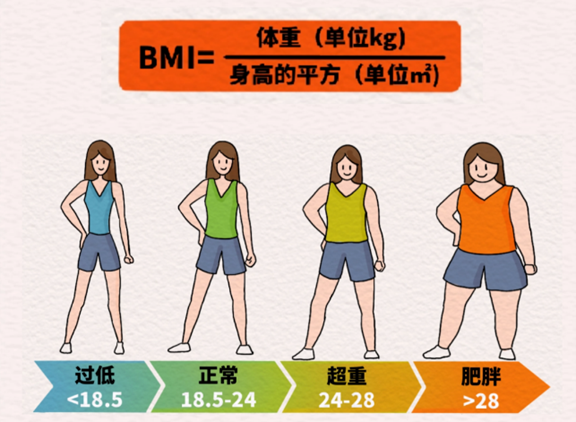 BMI指數(shù)參考。重慶松山醫(yī)院供圖