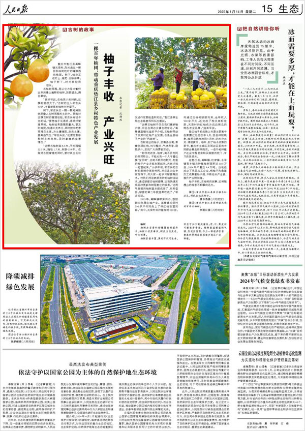 《 人民日?qǐng)?bào) 》( 2025年01月14日 15 版)