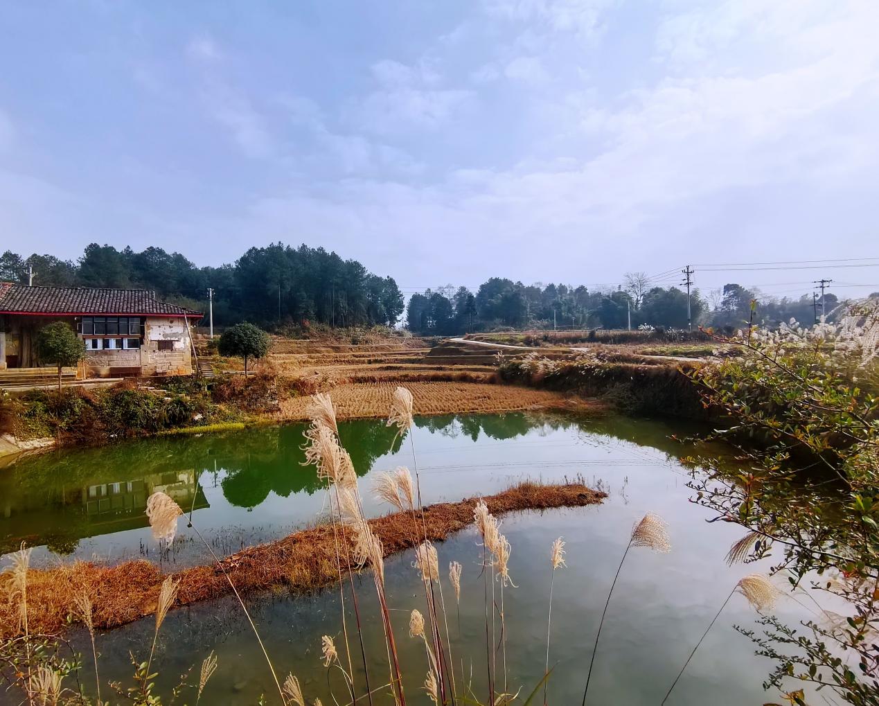 中壩村田園風(fēng)光。姚於攝