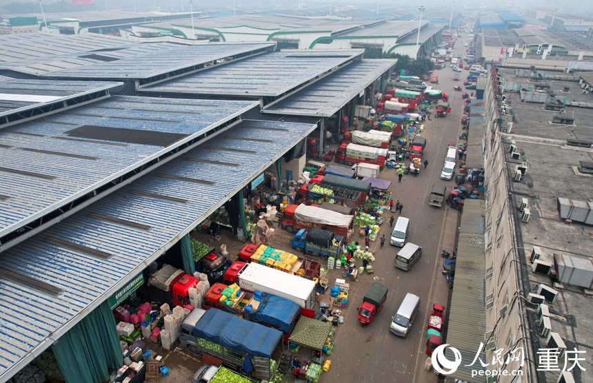 繁忙的江津雙福國(guó)際農(nóng)貿(mào)城。人民網(wǎng)記者劉祎攝