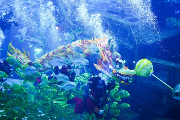 活動現(xiàn)場。重慶融創(chuàng)文旅城供圖