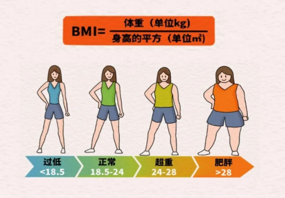 BMI范圍。重慶松山醫(yī)院供圖