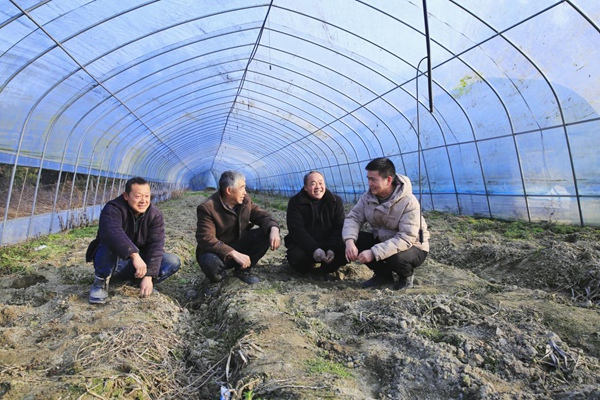 孫和發(fā)（右一）在育苗大棚內(nèi)向工作人員講解育苗注意事項。謝紹春攝