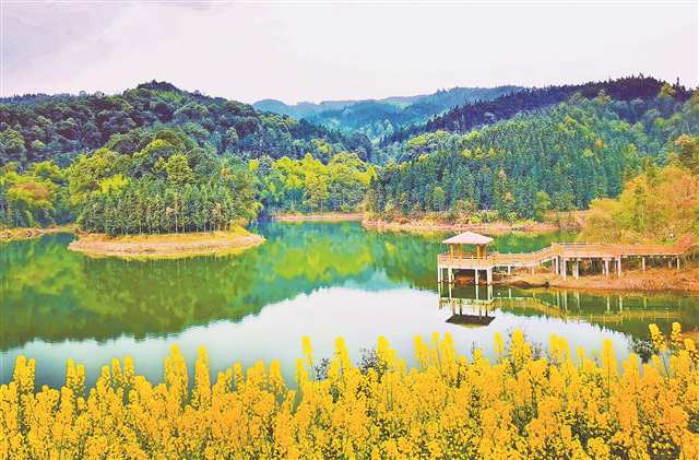 四川省瀘縣道林溝景區(qū)一角。受訪者供圖