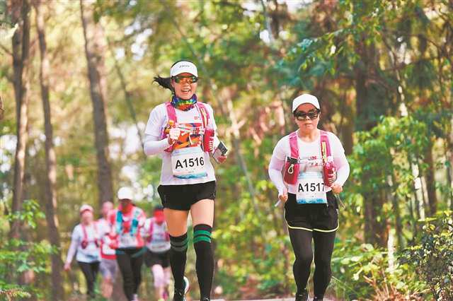 川渝兩地聯(lián)合舉辦古佛山·道林溝棧道越野賽。受訪者供圖