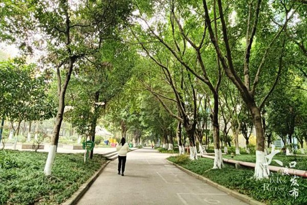 天辰美苑小區(qū)。大渡口發(fā)布供圖