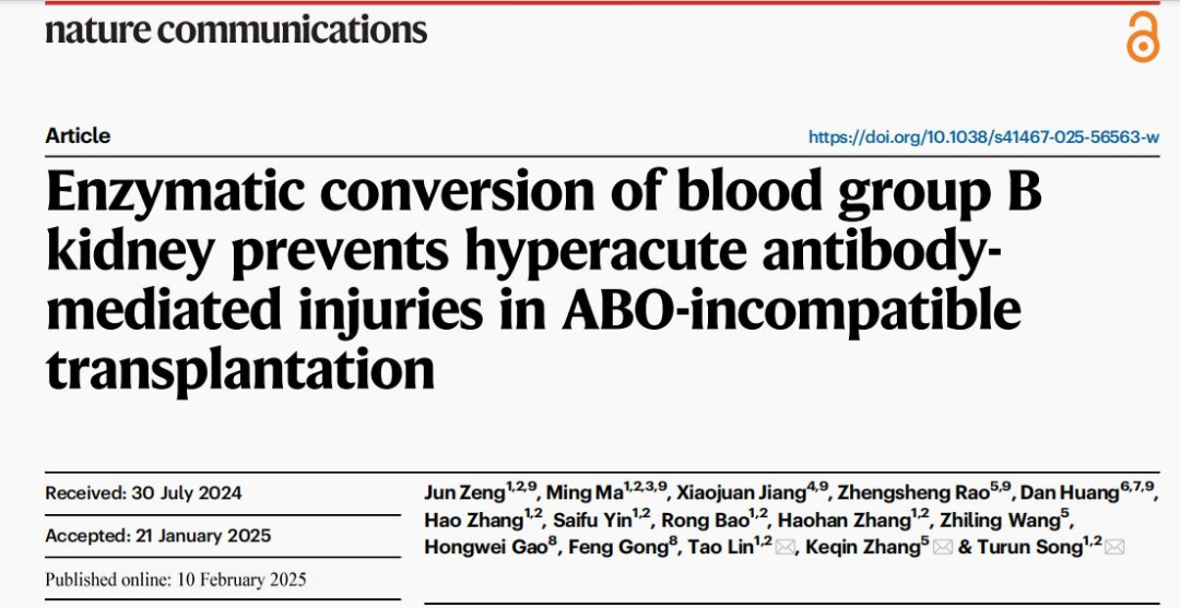 論文截圖。 重醫(yī)附二院供圖