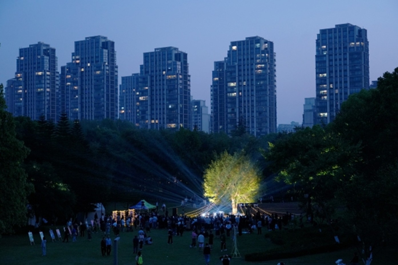 中央公園草坪被星光與燈光點亮。渝北區(qū)文化旅游委供圖