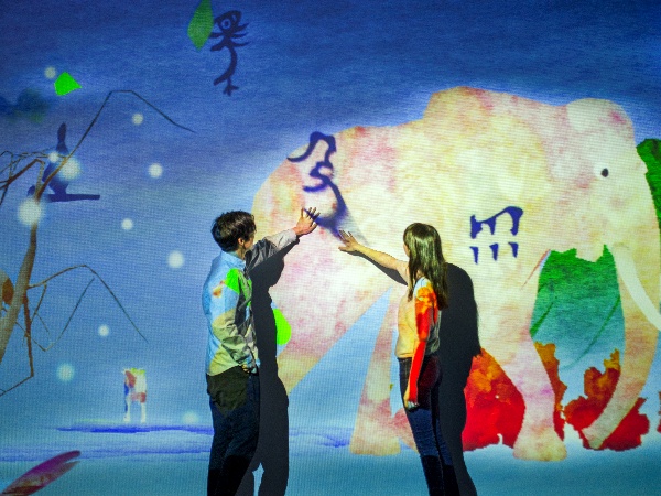 展出場景。主辦方供圖