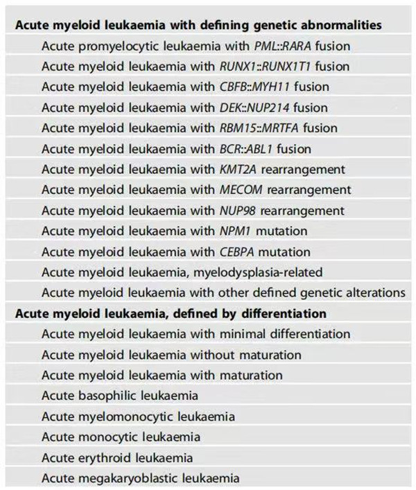 21個(gè)亞型示意圖。重慶松山醫(yī)院供圖