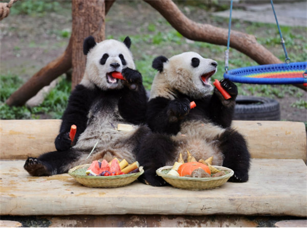 渝可渝愛合照。張秀峰攝