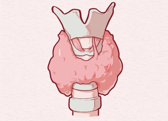 示意圖。重慶松山醫(yī)院供圖