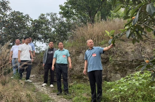 調(diào)研組一行來到土地垴村實地調(diào)研。劉欣攝