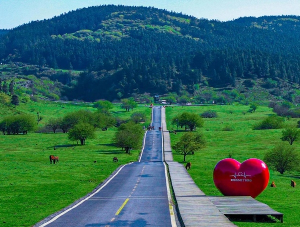 仙女山。武隆區(qū)委宣傳部供圖