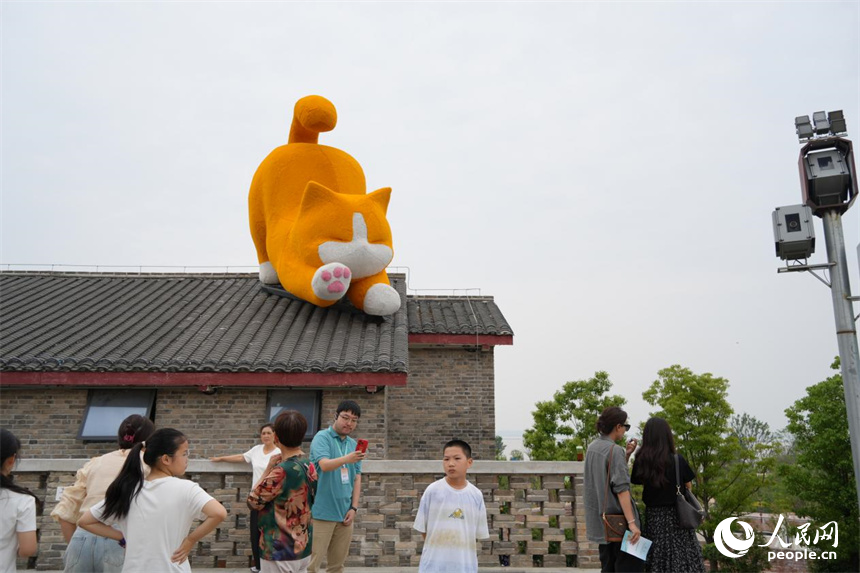 橘貓趴在屋頂憨態(tài)可掬。人民網(wǎng) 劉汕攝