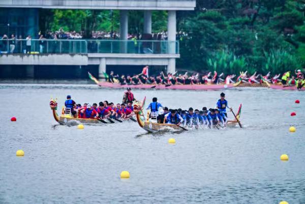 龍舟爭渡?；顒又鬓k方供圖