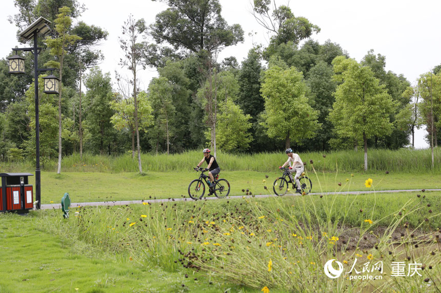 在雙桂湖國(guó)家濕地公園內(nèi)騎行的游客。人民網(wǎng) 曹欣悅攝