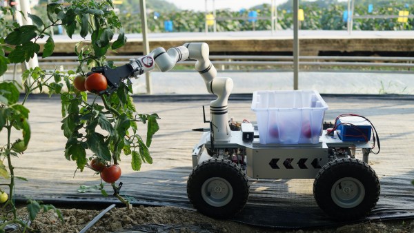 智能手臂采摘番茄?；顒?dòng)主辦方供圖