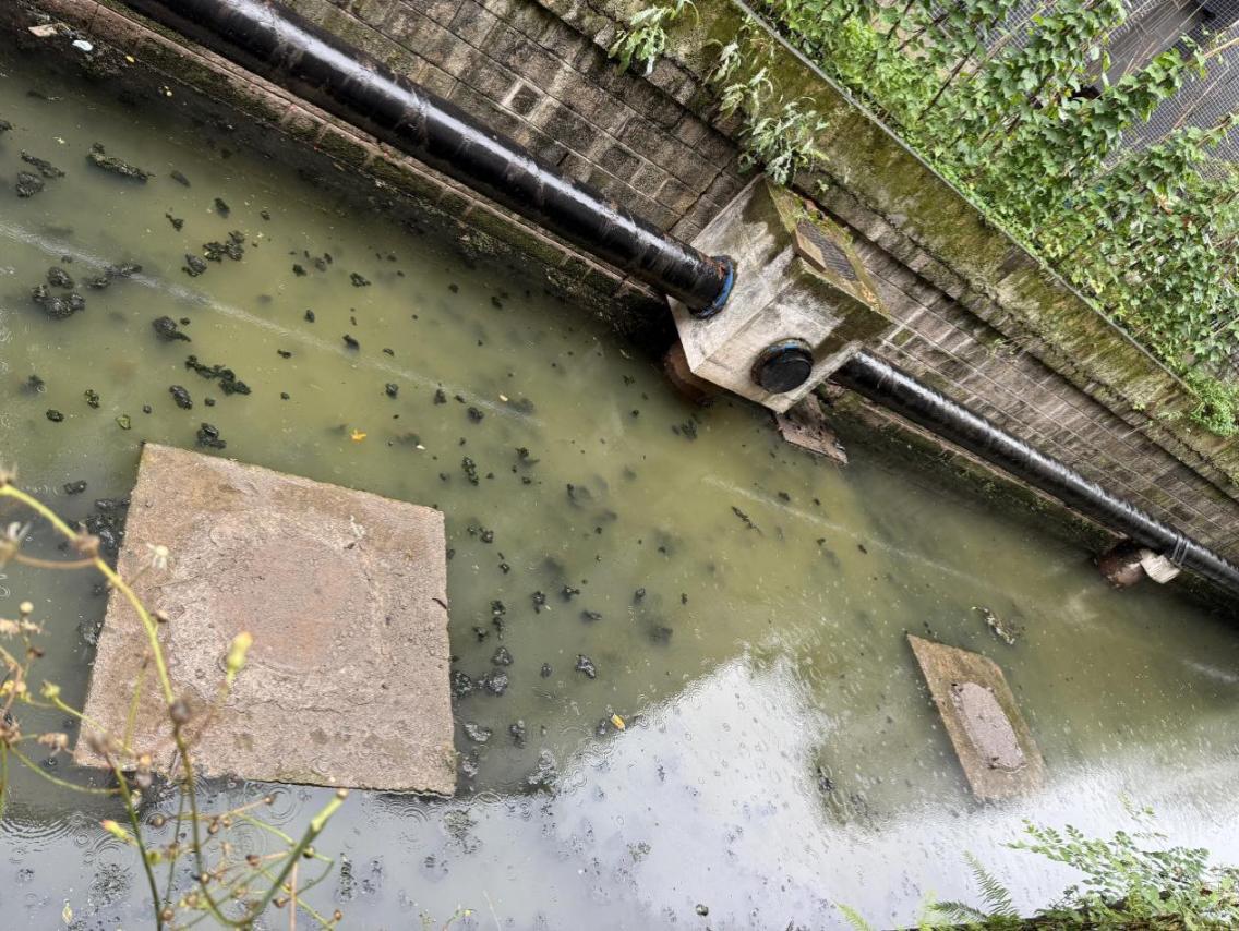 經雨水沖刷，瘦畔河段涌起的污垢。人民網 歐陽易佳攝