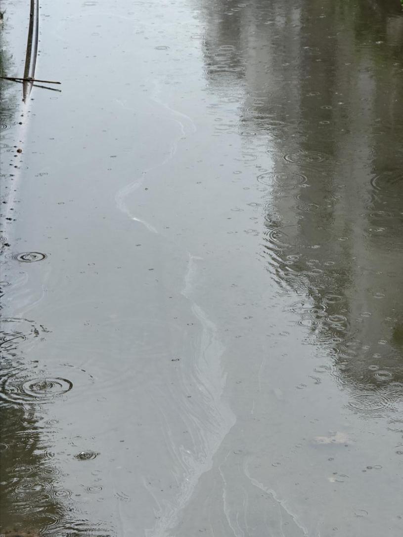 瘦畔河段水面上漂浮一層油膜。人民網 歐陽易佳攝