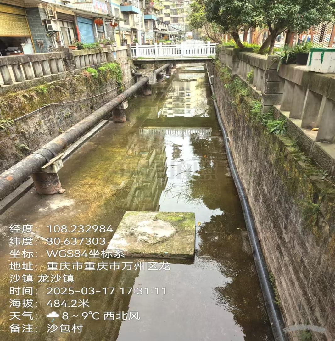 2025年3月現場照片。重慶市生態(tài)環(huán)境局供圖