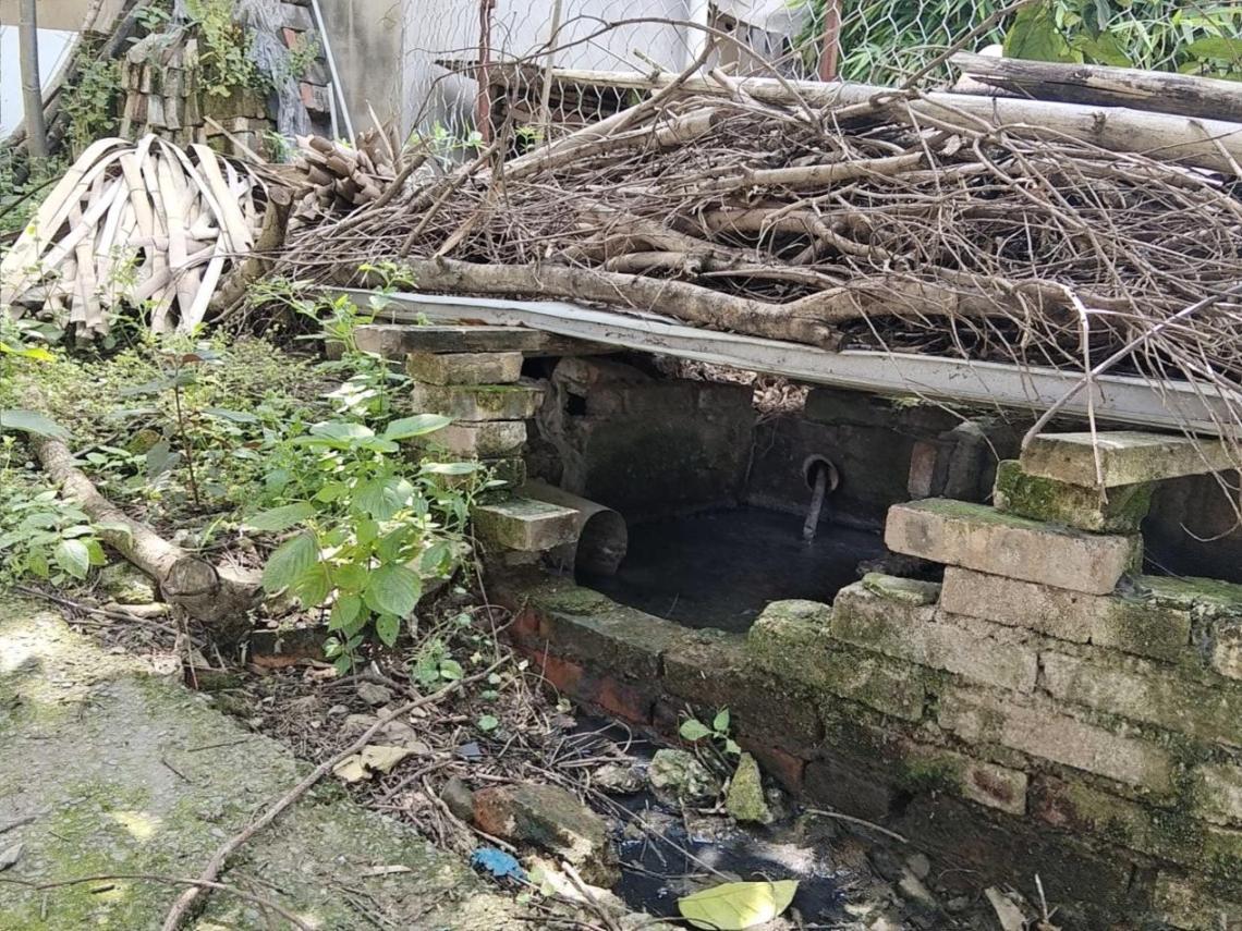 村莊化糞池溢流。生態(tài)環(huán)境部供圖