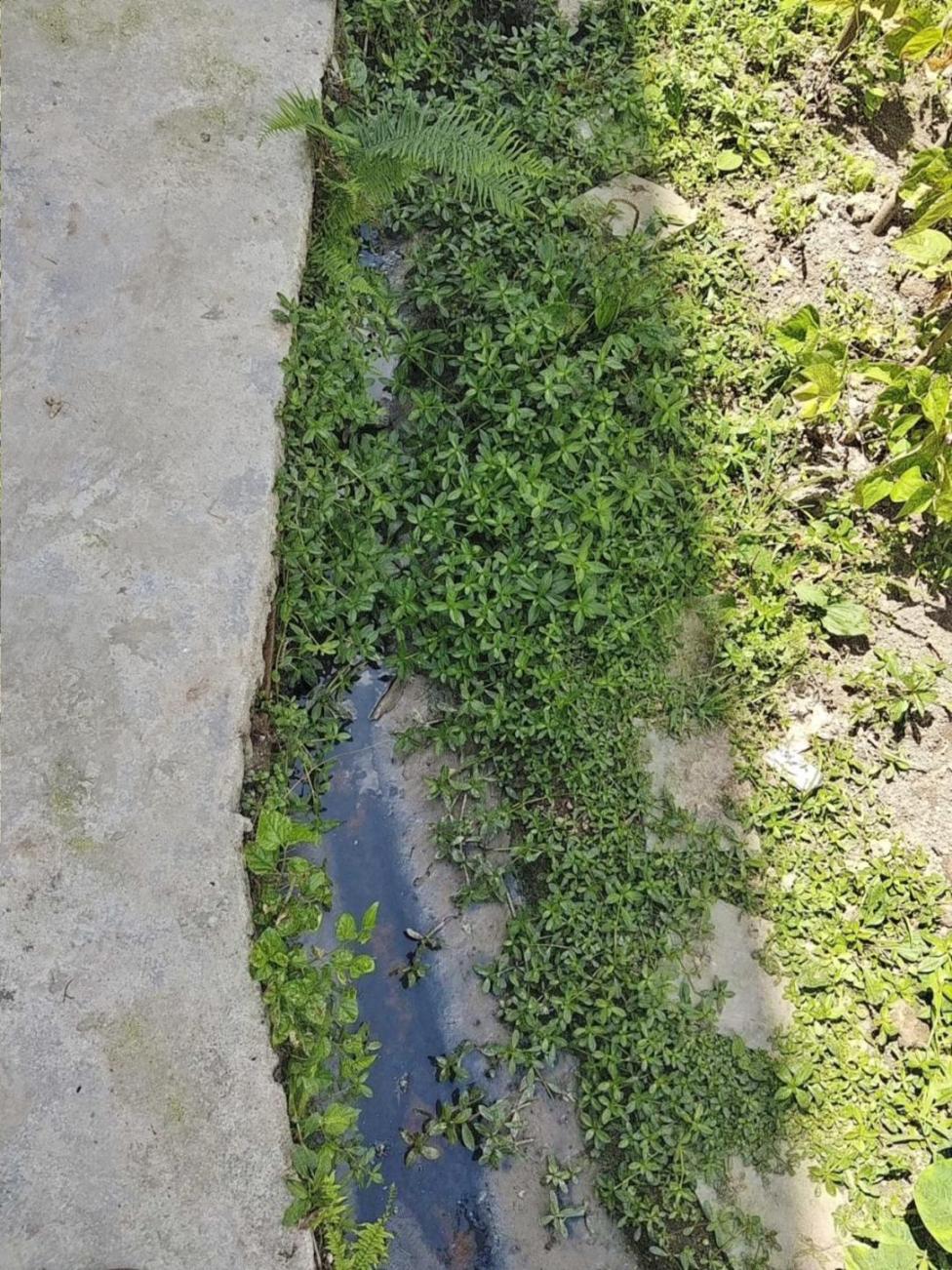 村莊污水橫流。生態(tài)環(huán)境部供圖