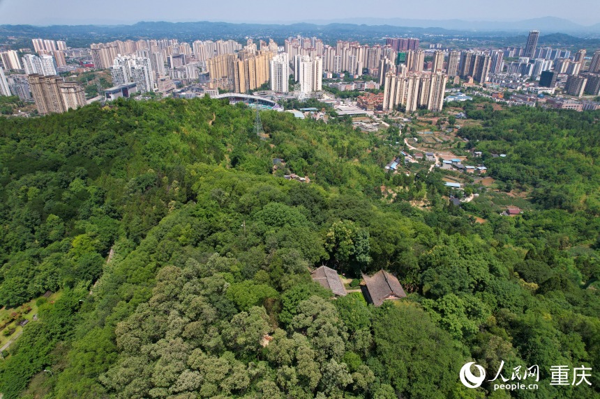 藏在山林間的大足南山石刻。人民網(wǎng) 鄒樂攝