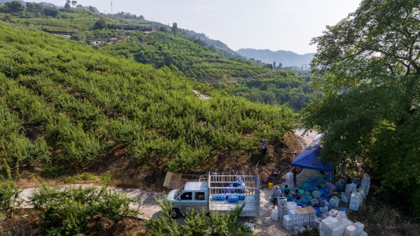 采摘的鮮果經(jīng)分揀、裝箱將通過冷鏈車直達(dá)外地商超。劉先華攝