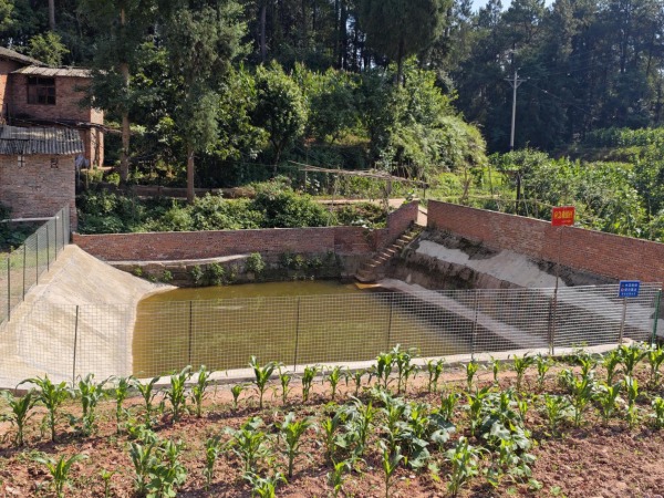 整治后的豬市場(chǎng)堰塘。陳海鷹攝