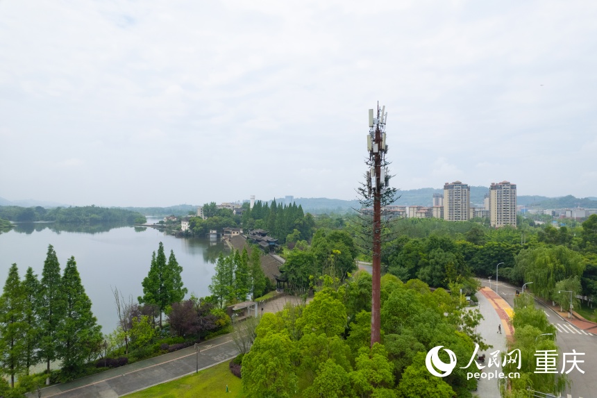 位于雙桂湖國(guó)家濕地公園的5G-A基站。人民網(wǎng) 鄒樂(lè)攝