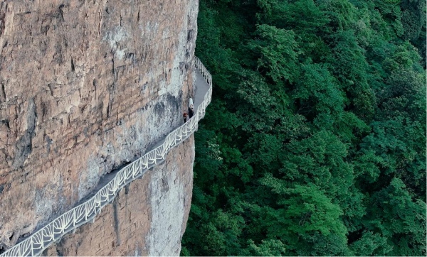 金佛山棧道。金佛山供圖