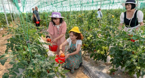 感受采摘樂趣。璧山區(qū)委宣傳部供圖