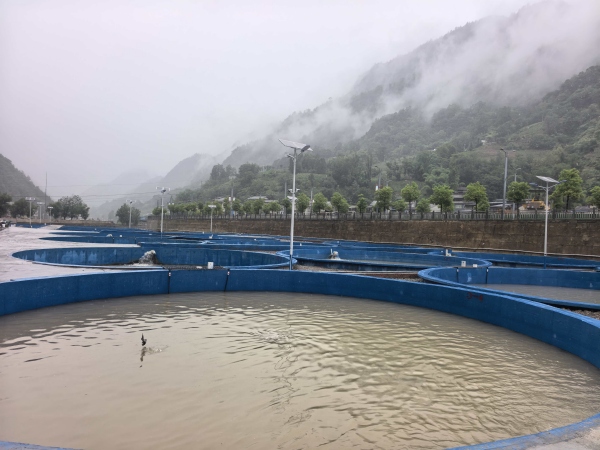 冷水魚養(yǎng)殖基地。雞鳴鄉(xiāng)供圖