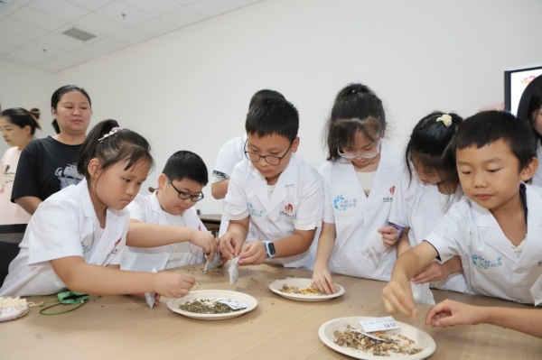 萌娃動(dòng)手制作“中藥驅(qū)蚊香包”。趙海攝