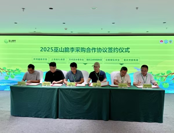 簽約儀式現(xiàn)場。巫山縣委宣傳部供圖