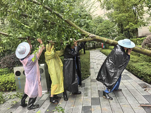 7月9日，萬科金開悅府物業(yè)人正在清理被大風(fēng)刮倒的樹木。萬科物業(yè)供圖