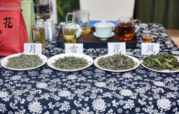 桑植白茶現(xiàn)場(chǎng)推介。桑植縣委宣傳部供圖