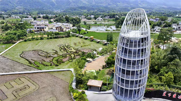 鳥(niǎo)瞰隆平五彩田園。大足區(qū)融媒體中心供圖