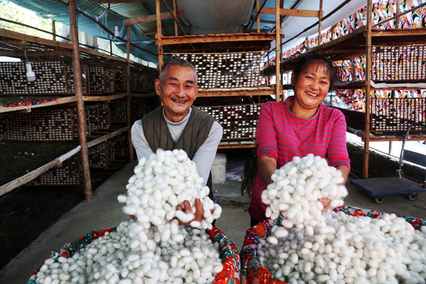 喜獲豐收。重慶市商務(wù)委員會(huì)供圖