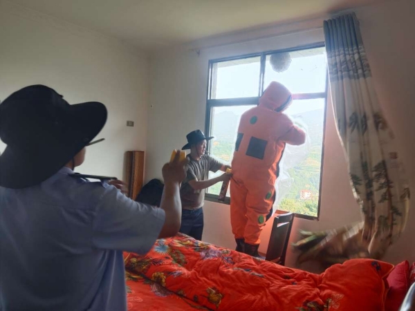 雙龍鎮(zhèn)綜合應(yīng)急隊(duì)員上門(mén)取馬蜂窩。雙龍鎮(zhèn)供圖