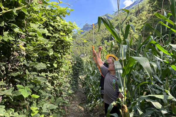 團(tuán)隊成員指導(dǎo)種植戶噴施葉面肥。重慶工程職業(yè)技術(shù)學(xué)院供圖