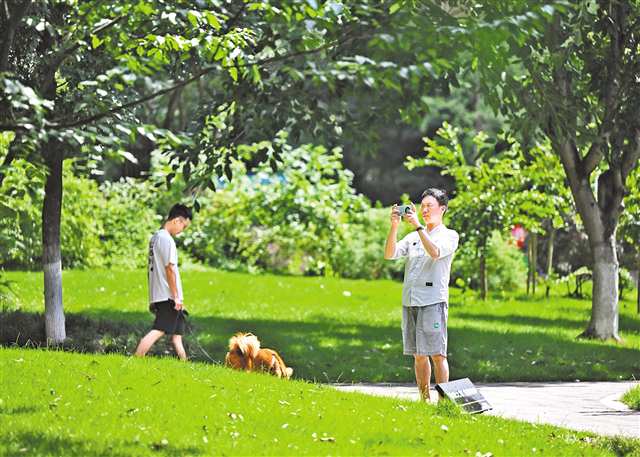 7月11日，居民在空港佳園公租房小區(qū)里拍攝小區(qū)環(huán)境。（本版圖片均由本報(bào)記者羅斌攝/視覺重慶）