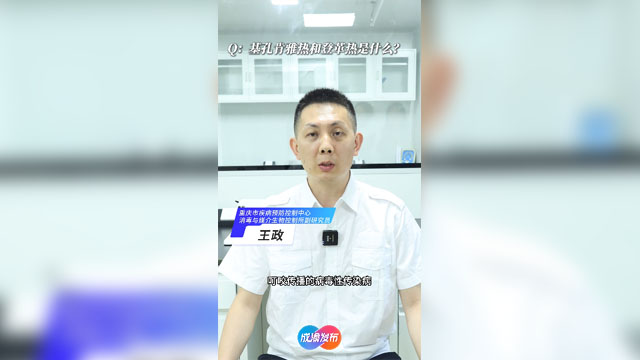 基孔肯雅熱+登革熱！會(huì)人傳人嗎？重慶人如何驅(qū)蚊？