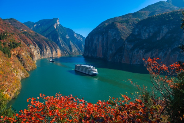 夔門紅葉。王傳貴攝