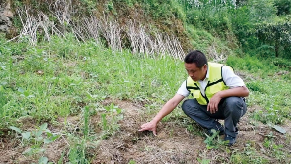 勝地社區(qū)3組網(wǎng)格員向業(yè)勤開展雨后地災(zāi)巡查。汪艷虹攝