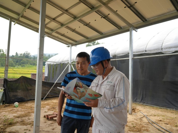 供電員工為王俊講解《社會責(zé)任報告》內(nèi)容。袁巧攝