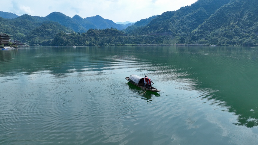 “河小青”志愿者們正在酉水河清漂。邱洪斌攝