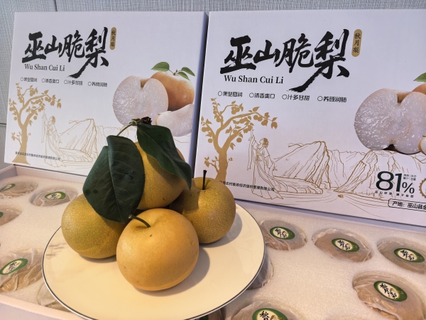 巫山脆梨。任峰攝