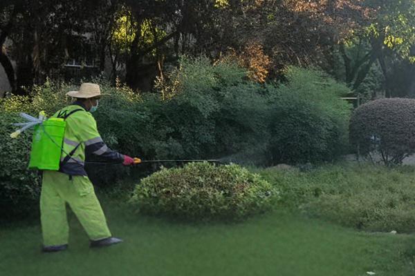 綠化帶等重點區(qū)域正在進行消殺作業(yè)。杜科攝